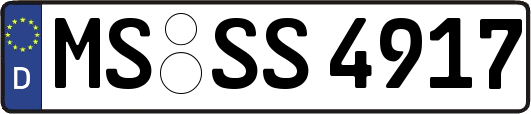 MS-SS4917