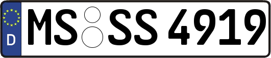 MS-SS4919