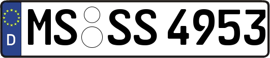 MS-SS4953