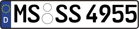 MS-SS4955
