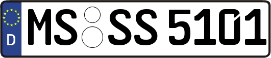 MS-SS5101