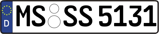 MS-SS5131