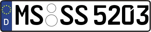 MS-SS5203