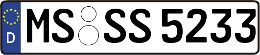 MS-SS5233