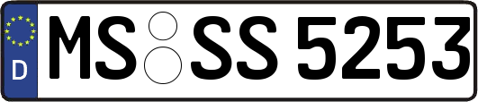 MS-SS5253