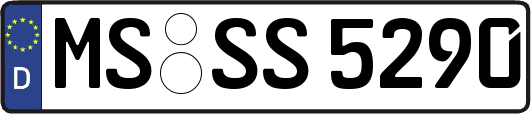 MS-SS5290