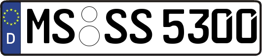 MS-SS5300