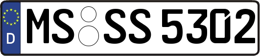 MS-SS5302