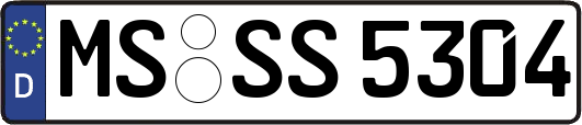 MS-SS5304