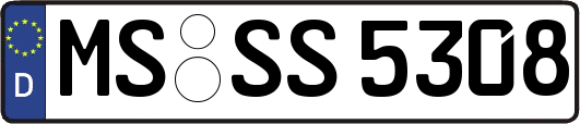MS-SS5308