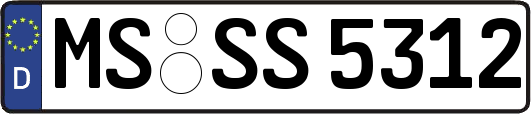 MS-SS5312