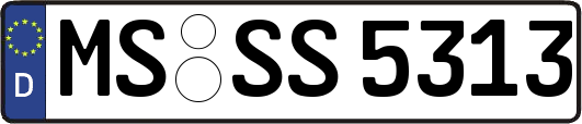 MS-SS5313