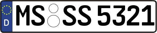 MS-SS5321
