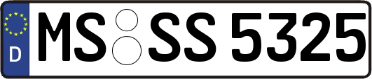 MS-SS5325