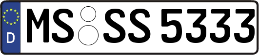 MS-SS5333