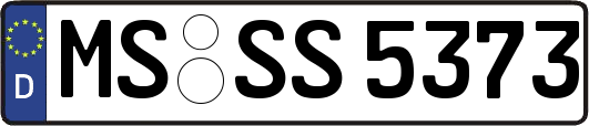 MS-SS5373