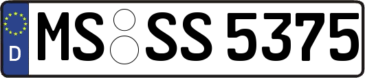 MS-SS5375