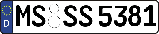 MS-SS5381
