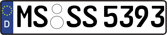 MS-SS5393