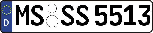MS-SS5513