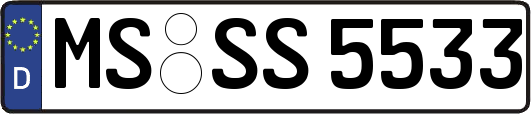 MS-SS5533