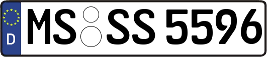 MS-SS5596