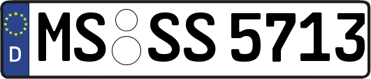 MS-SS5713