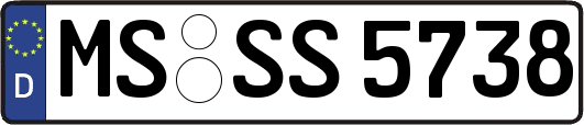 MS-SS5738