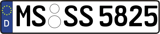 MS-SS5825