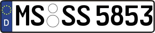 MS-SS5853