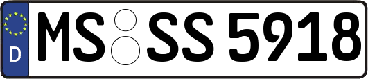 MS-SS5918