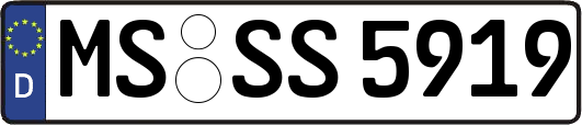MS-SS5919