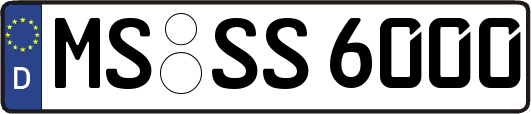MS-SS6000