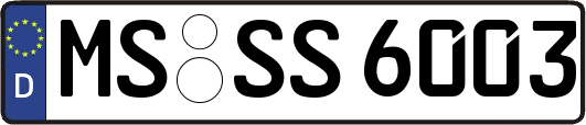 MS-SS6003