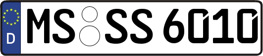 MS-SS6010
