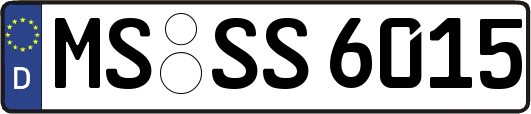 MS-SS6015