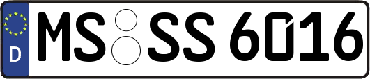 MS-SS6016