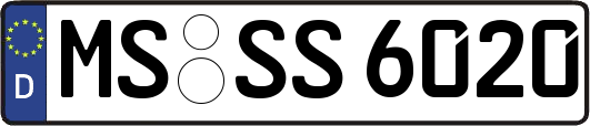 MS-SS6020