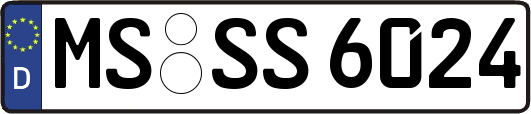 MS-SS6024