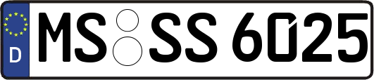 MS-SS6025