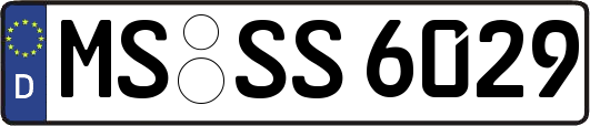 MS-SS6029