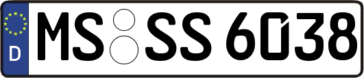 MS-SS6038