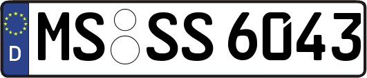 MS-SS6043