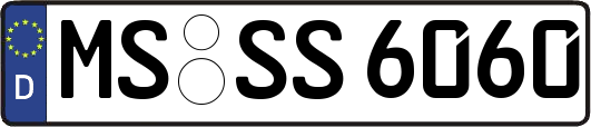 MS-SS6060