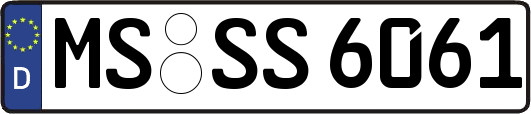 MS-SS6061