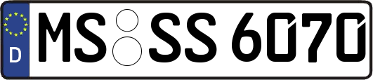 MS-SS6070