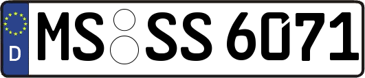 MS-SS6071