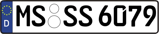 MS-SS6079