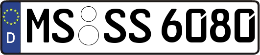 MS-SS6080