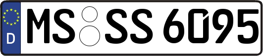MS-SS6095